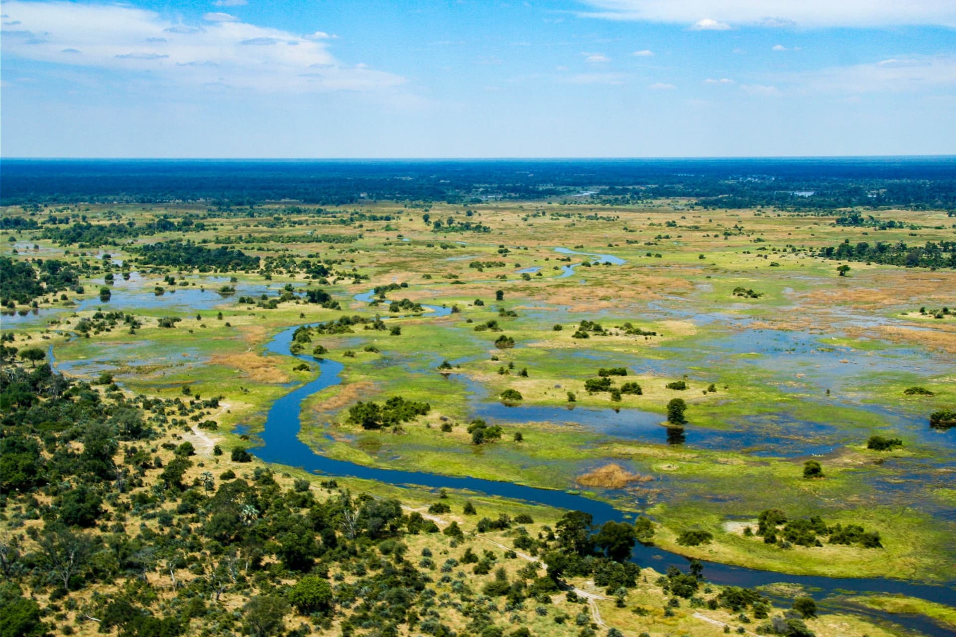 okavango titre