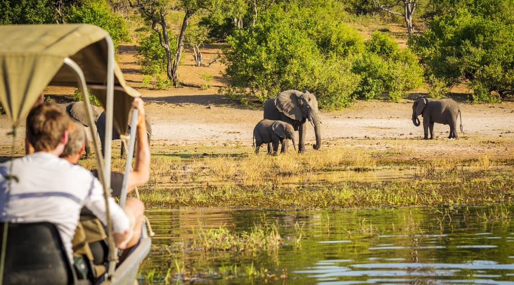 Where to Go on Safari in Botswana